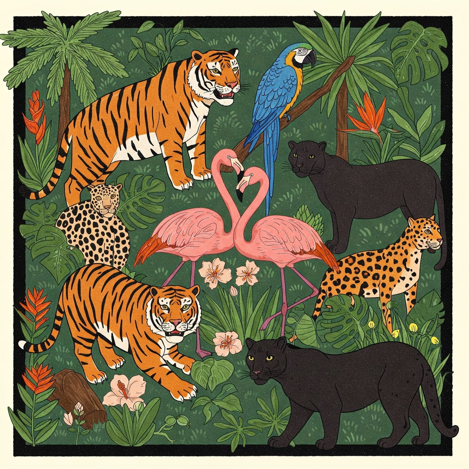 ANIMALI