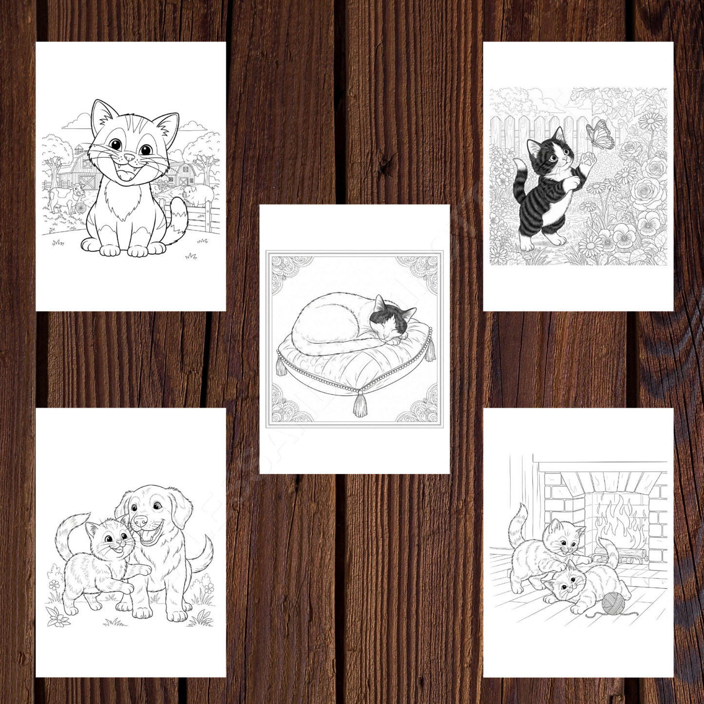 gatti da colorare 2 serie