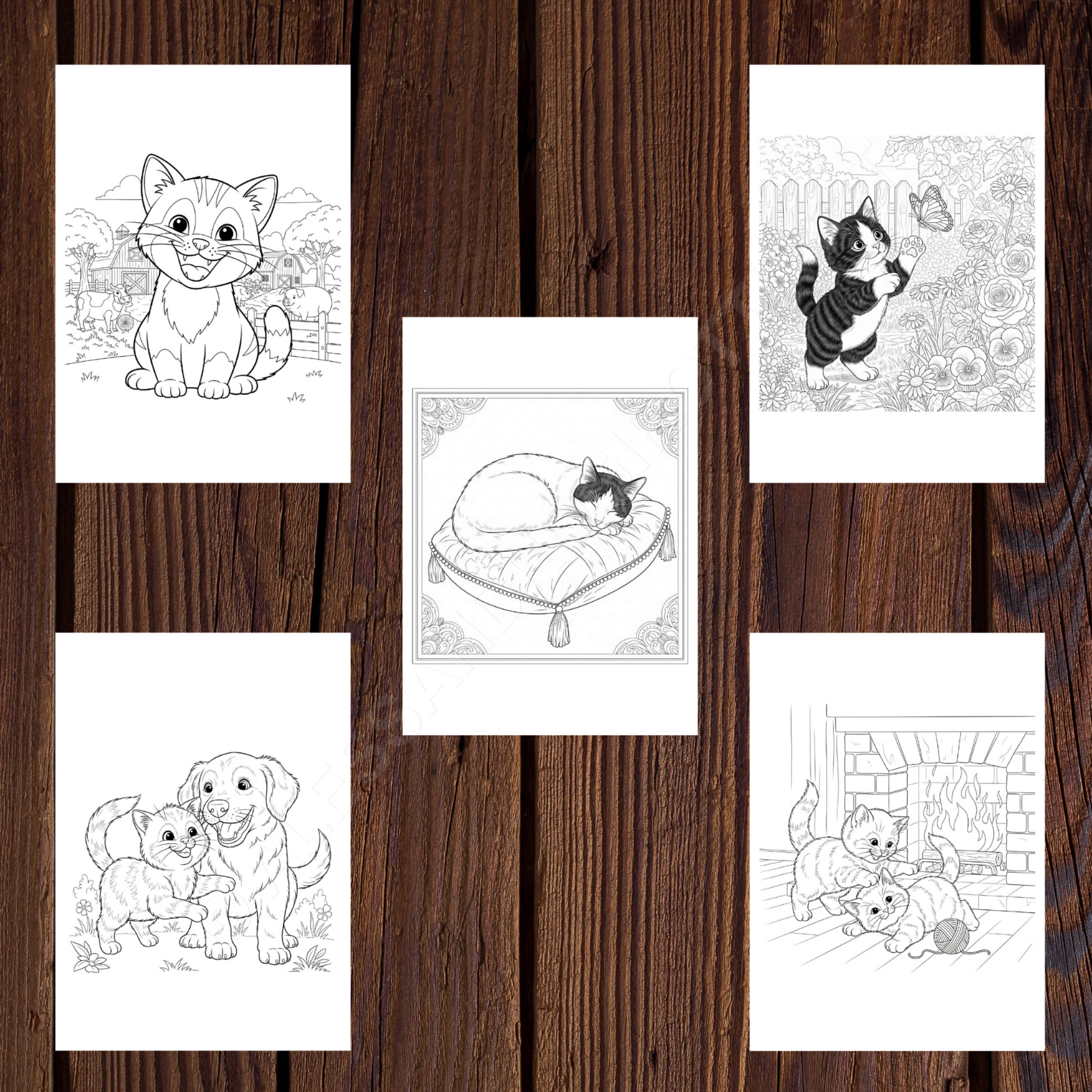 gatti da colorare 2 serie